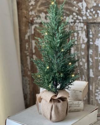 Lan 24&quot; Starlit Tree LED