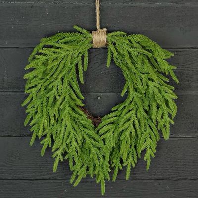 Imp 20&quot; Norfolk Pine ST