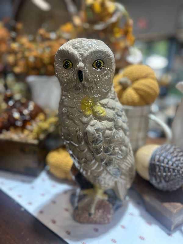 CCO 12.5&quot; Owl Vase
