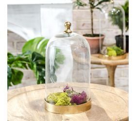 Pdg 12&quot; Glass Cloche W/Gold Base