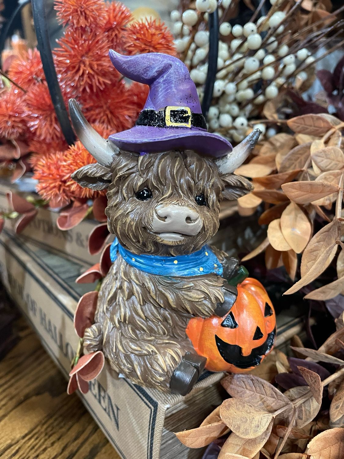 Han Purple Witch Hat Highland