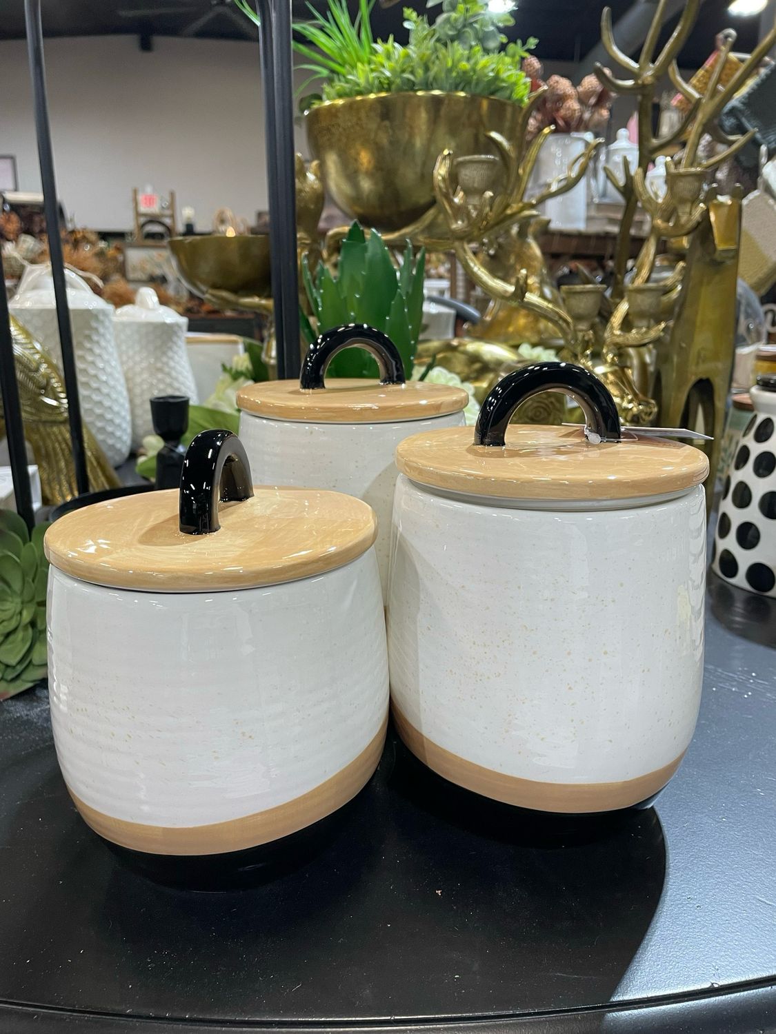 Yng Special Price Blk/tan Canisterbs/3