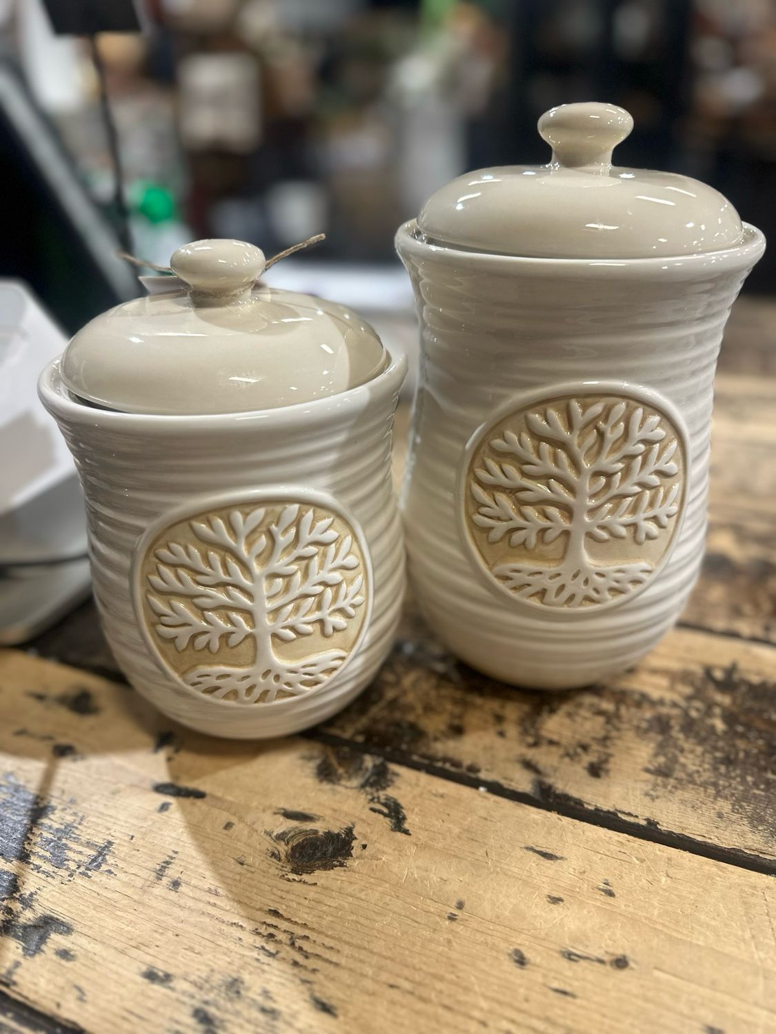 Yng Tree Canister S/2