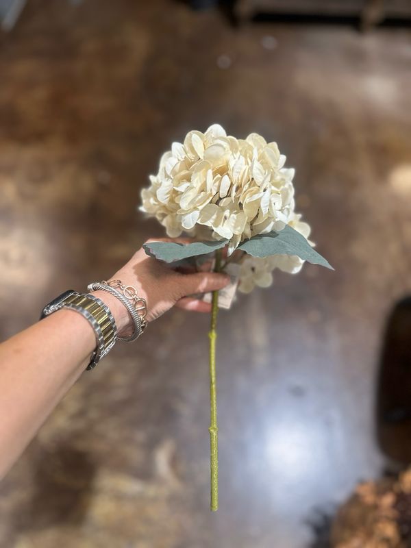 BB 14&quot; Cream Hydrangea