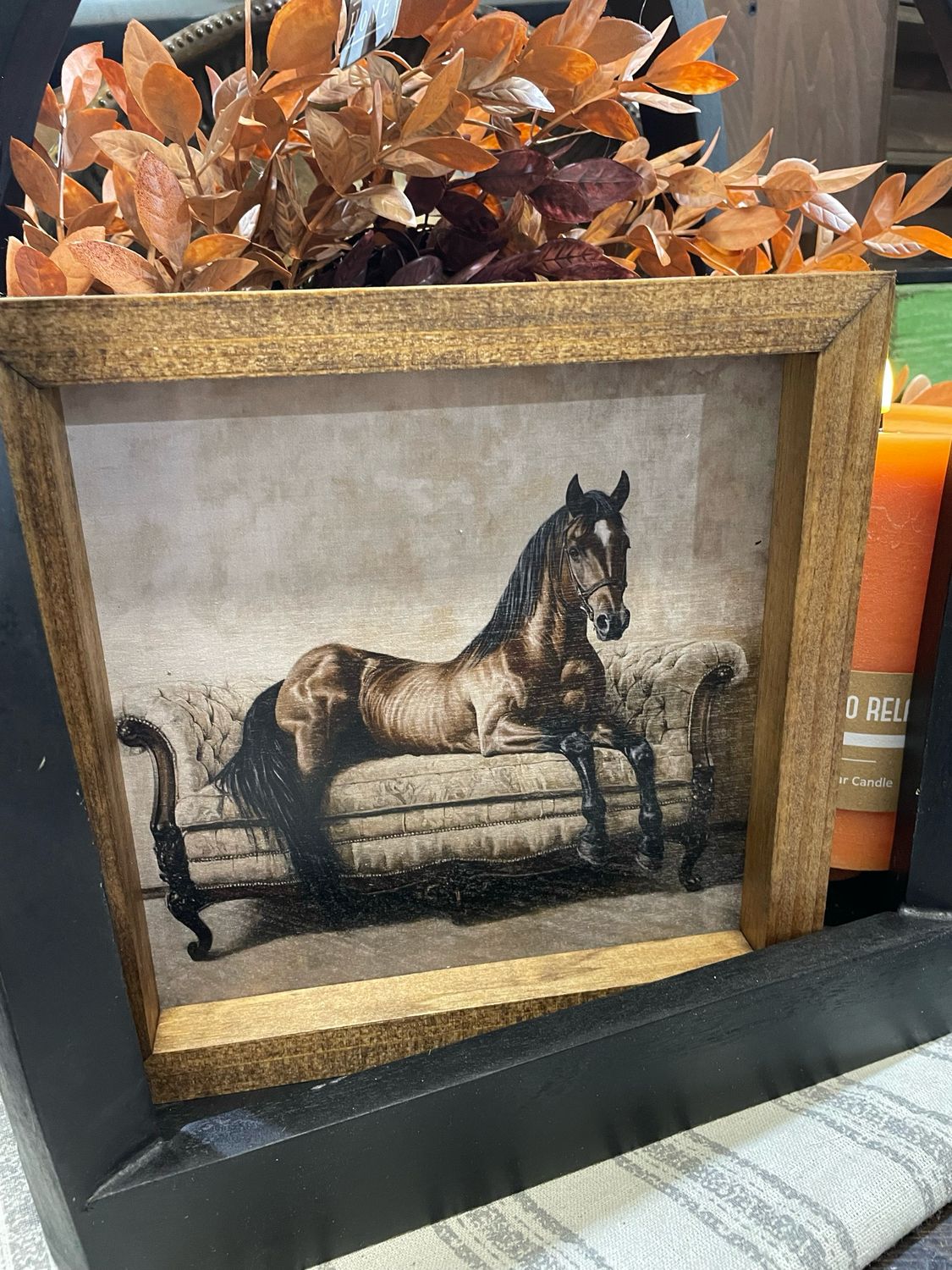 Jarmz 9x9 Horse On Couch