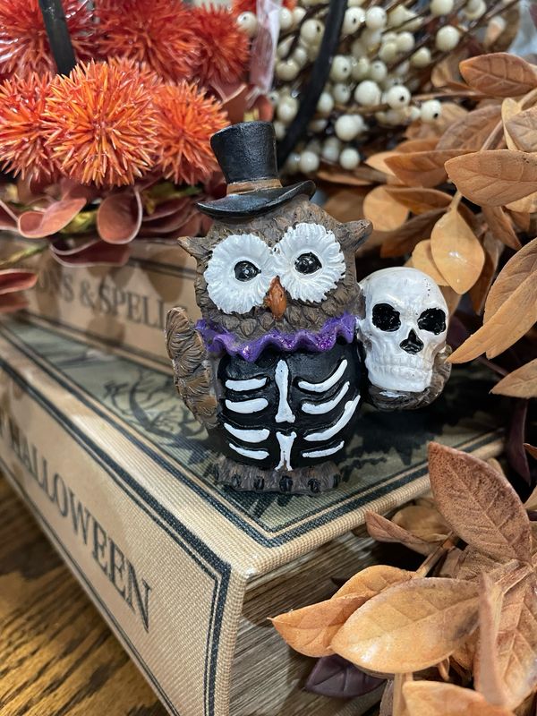 Han Skull Owl Spooky Tabletop
