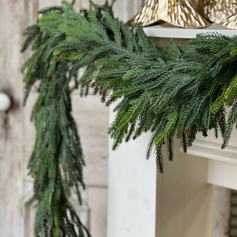 Lan 6&#39; Norfolk Cascade Garland