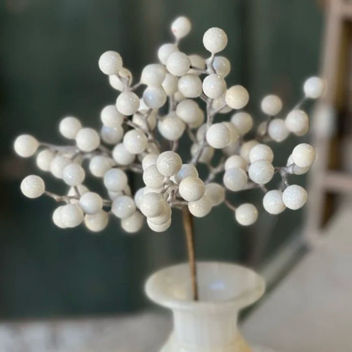 Lan 12" Icy Snowdrop Berry Pck