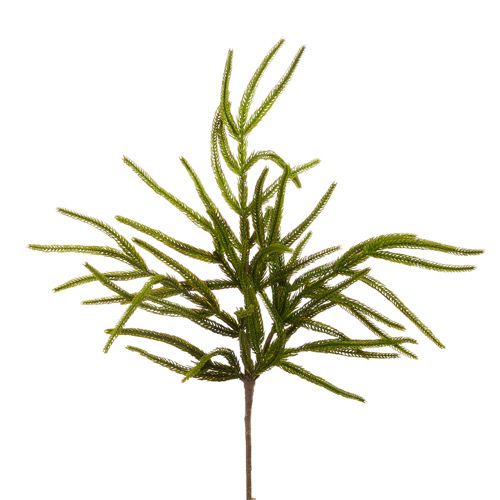 Raz 26&quot; Norfolk Pine Spray