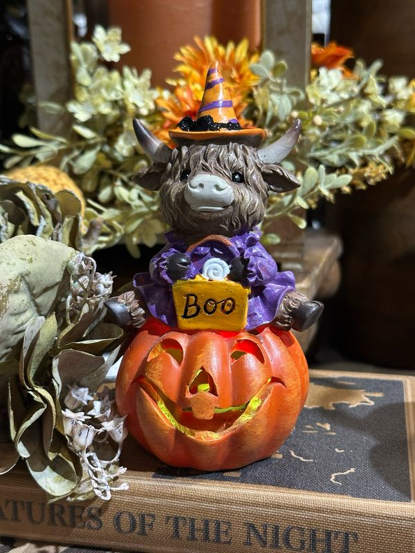 Ger Orange Hat High On Pumpkin 6&quot;