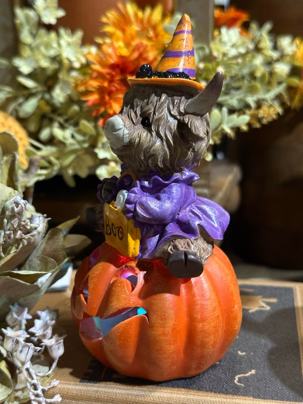 Ger Orange Hat High On Pumpkin 6"