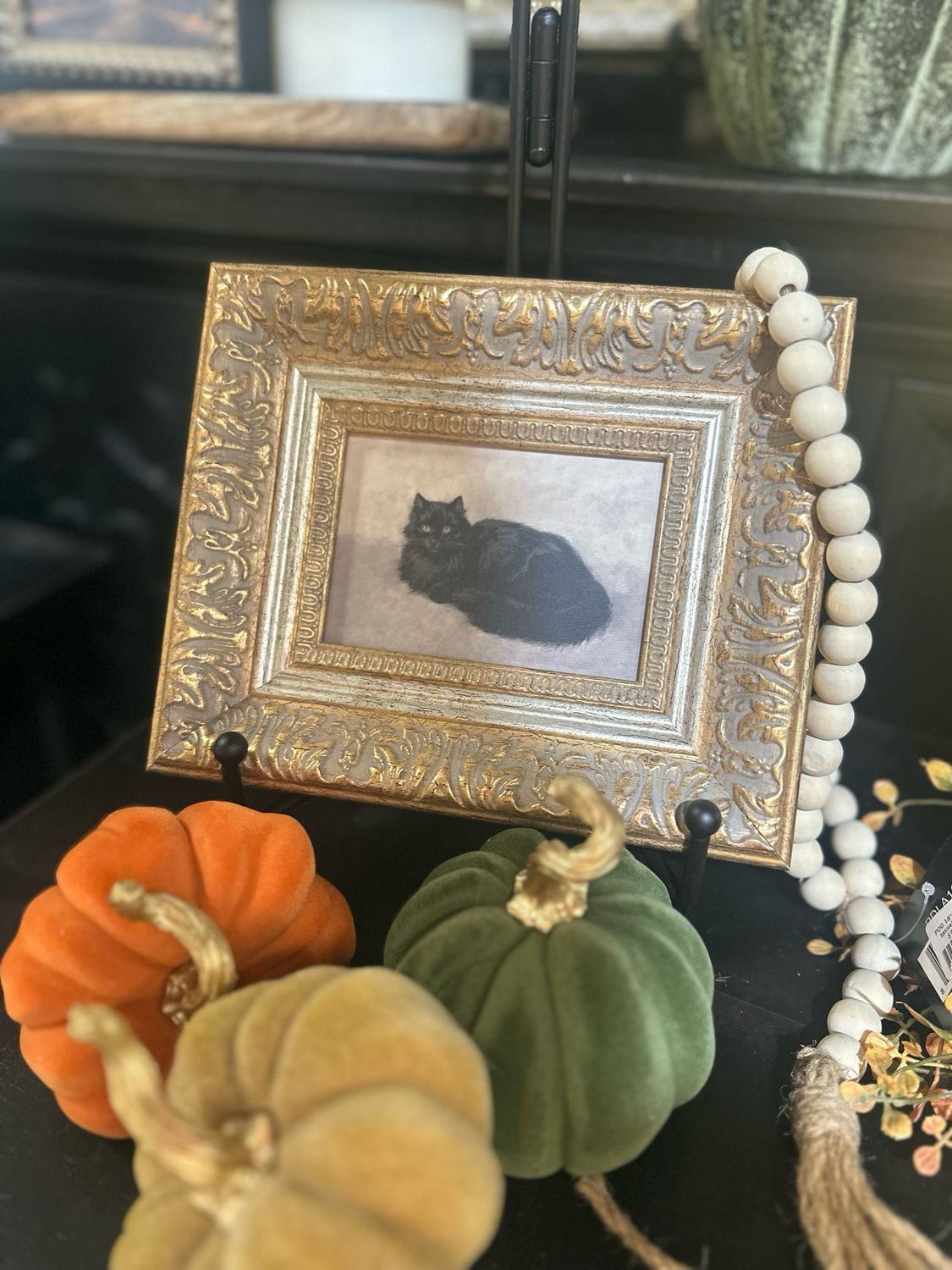 PPL Black Cat 9x7