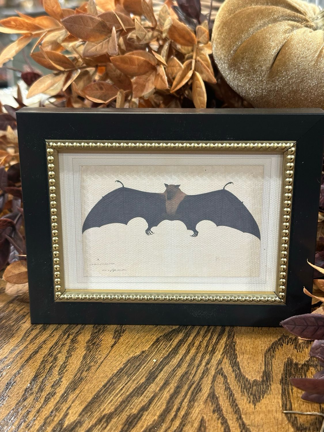 PPL Spooky Bat 6x4