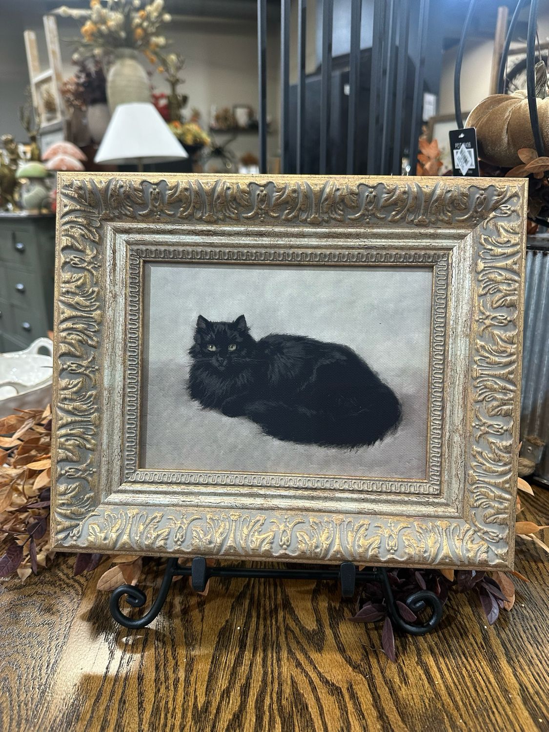 PPL Black Cat 12x10
