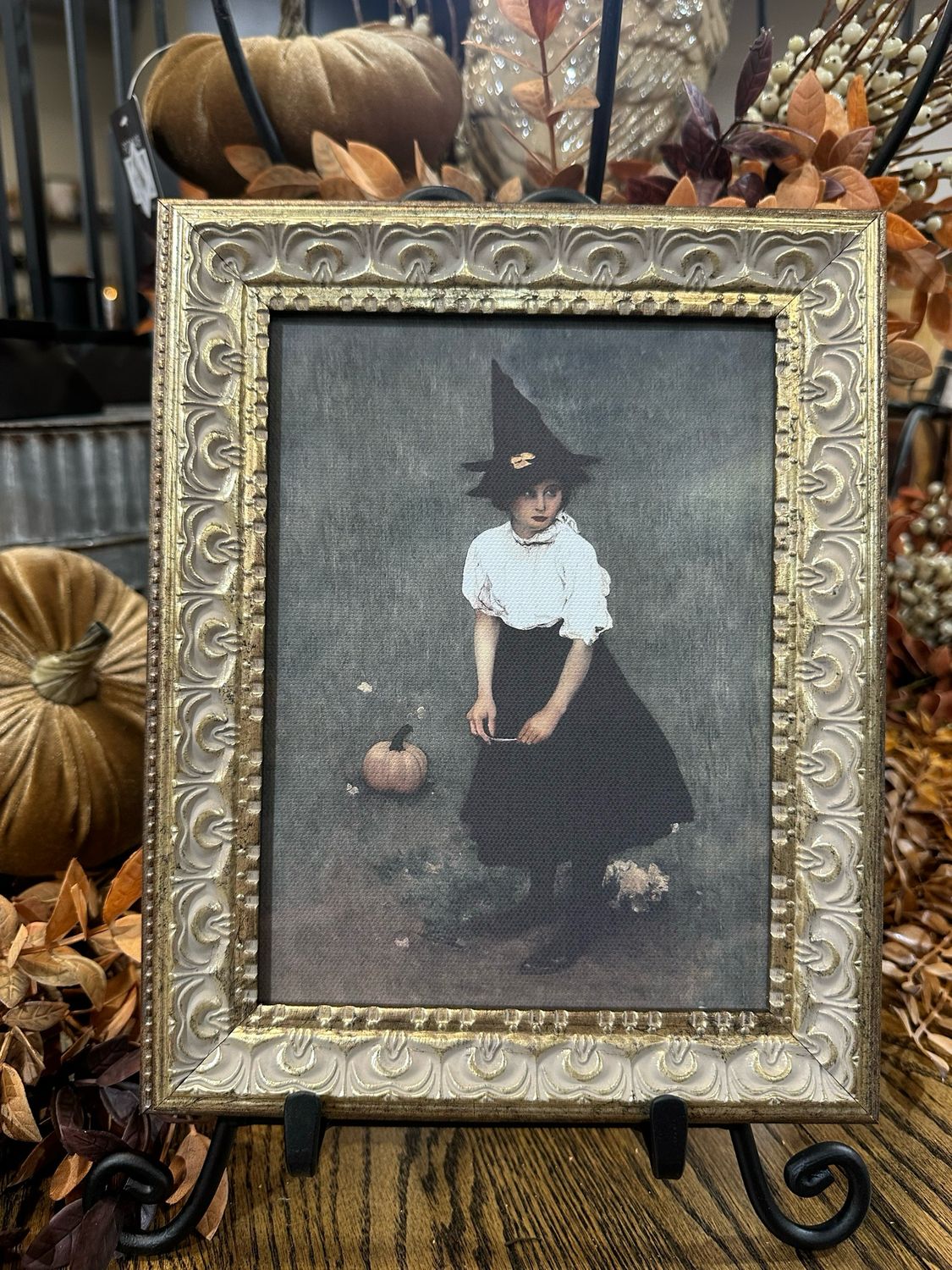 PPL Little Witch 8x10