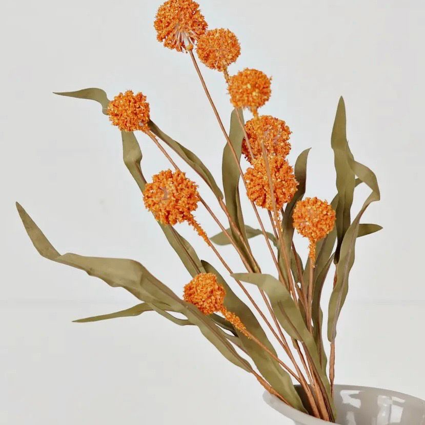 Imp 20&quot; Pumpkin Thistle Stem