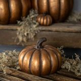 Rag 5.75&quot; Short Gold Pumpkin
