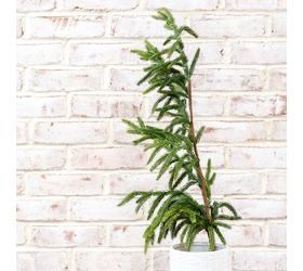 Pdg 36&quot; Inner Evergreen Branch