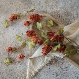 Rag 39&quot; Sienna Hops Stem