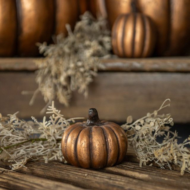 Rag 2.75&quot; Gold Short Pumpkin