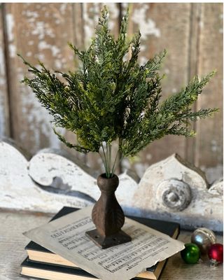 Lan 20&quot; Clifton Hills Cedar Bush