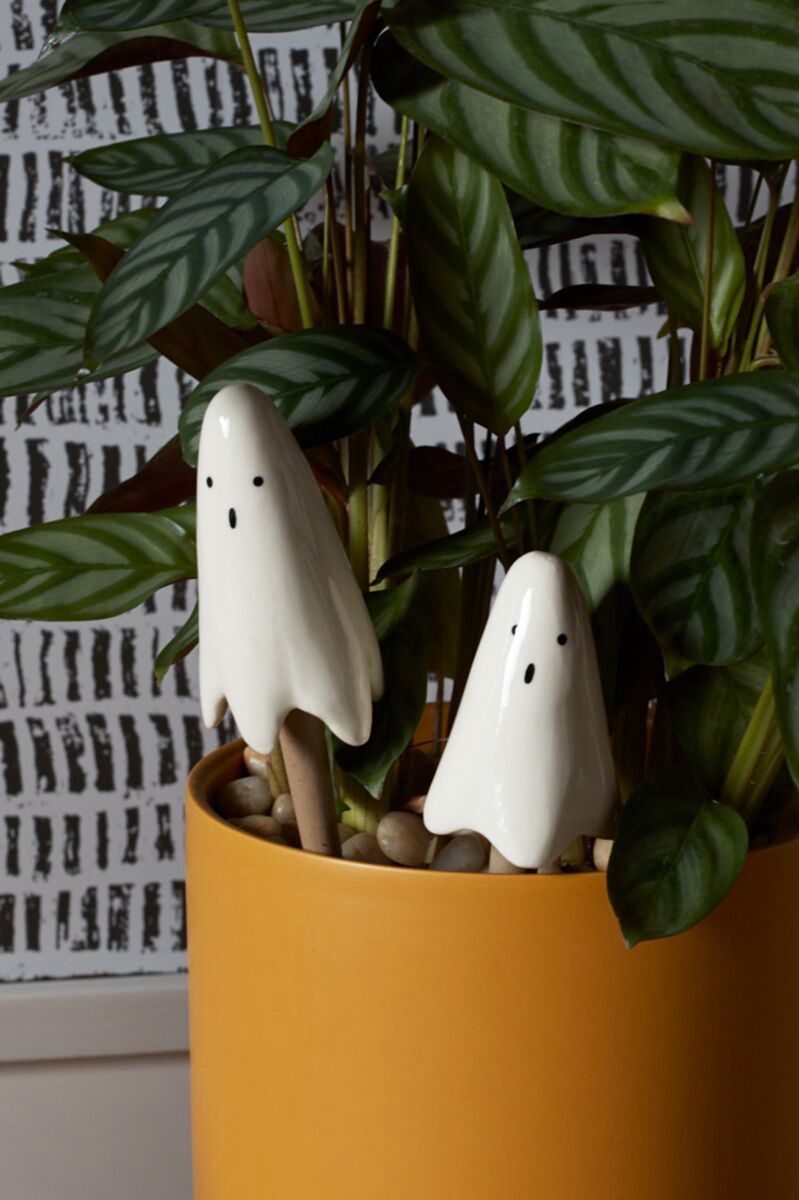 ACC Casper Plant Stick 2 Styles 1.5x7
