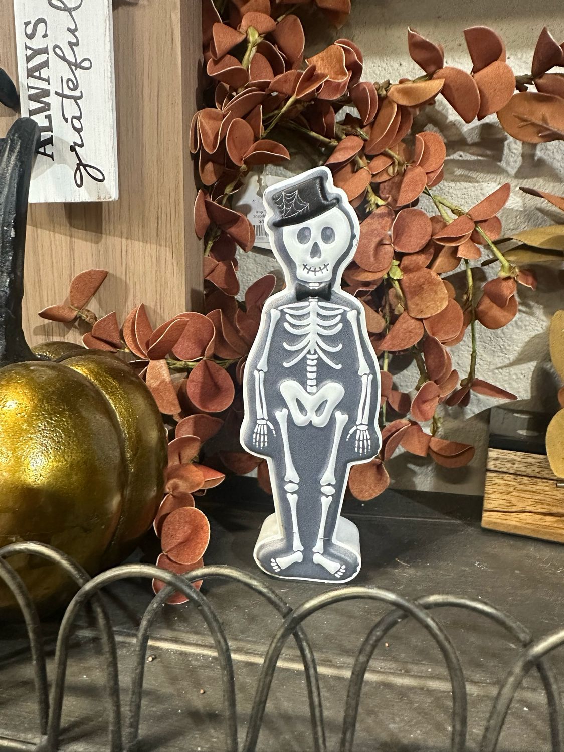 BB Skeleton Tin Sitter 6&quot;
