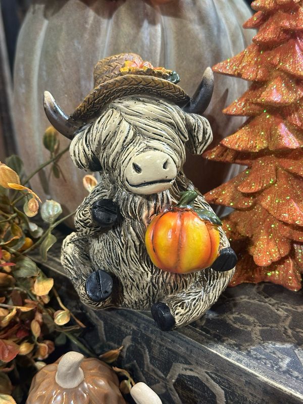 Yngs Pumpkin High 5.5&quot;
