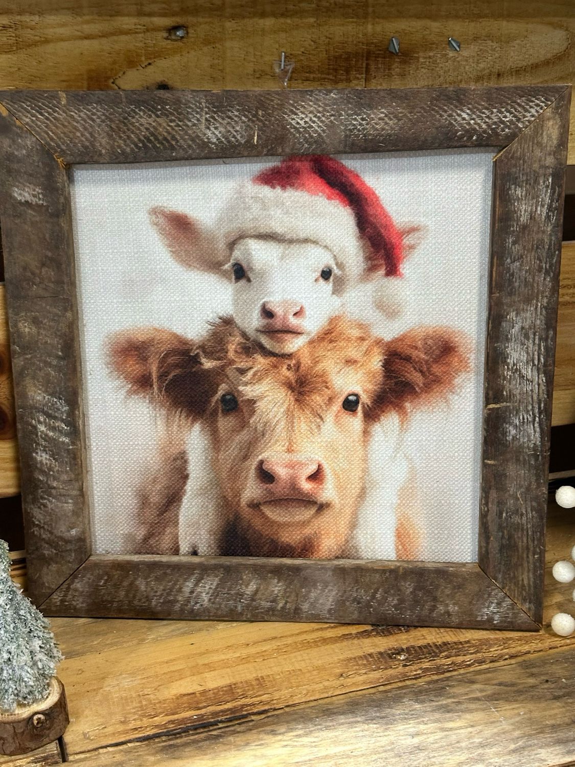 SCM 12x12 Christmas Cow