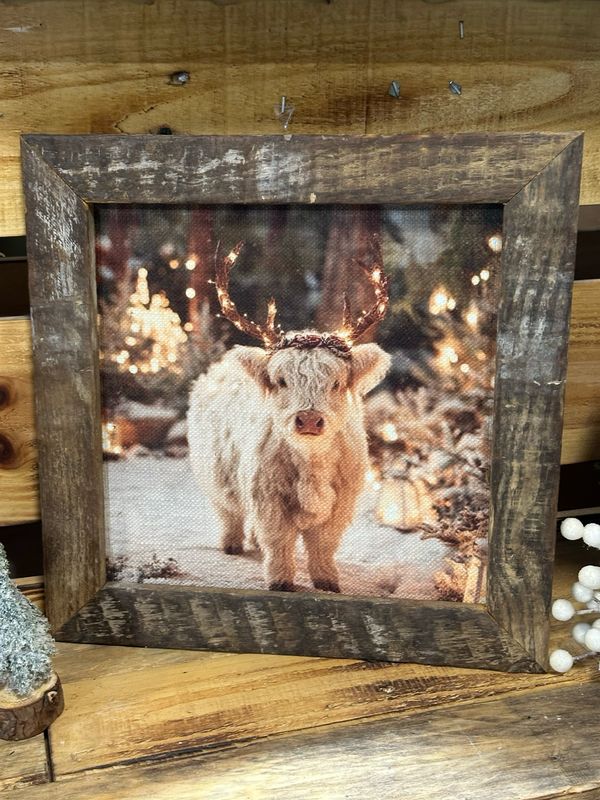 SCM 12x12 Highland Reindeer