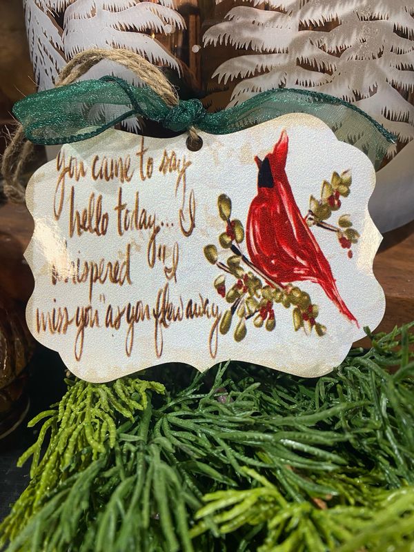 SCM Orn You came to say hello today