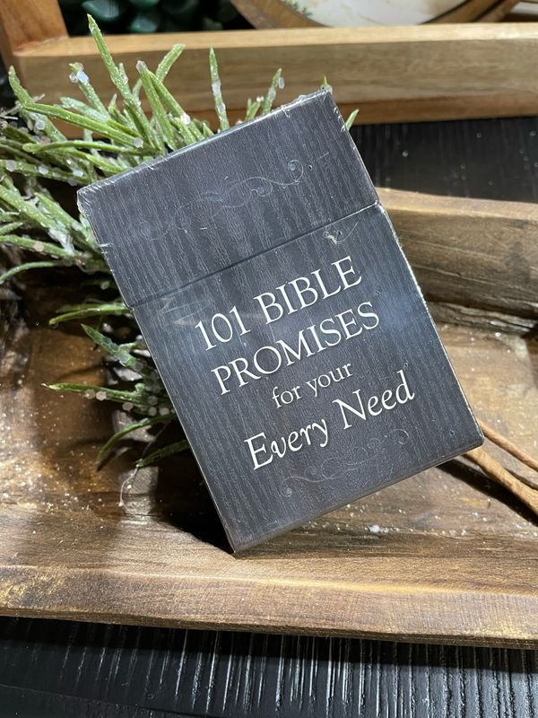 CAG 101 Bible Promises Every Need