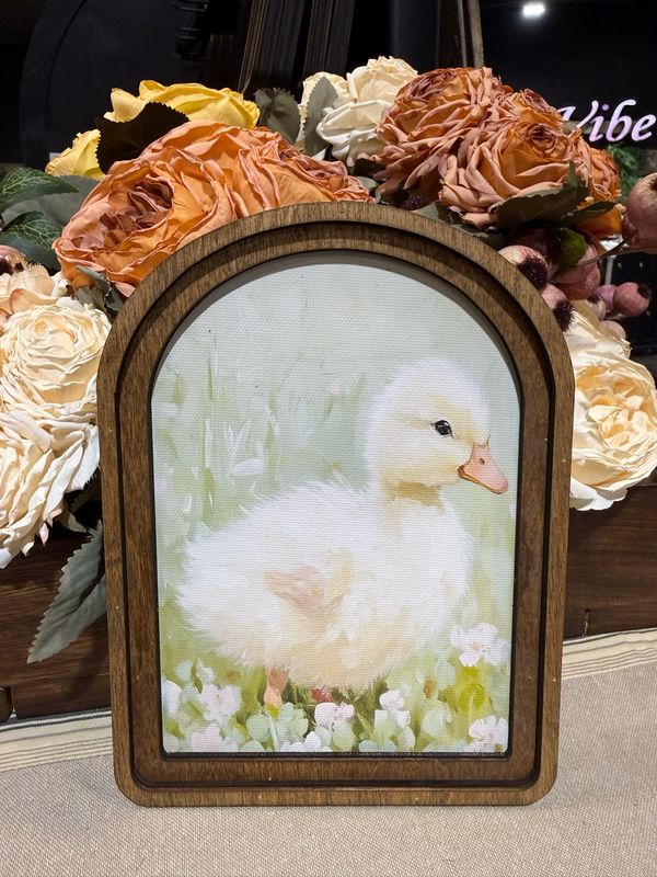 Red Arch Fluffy Duckling 8x6