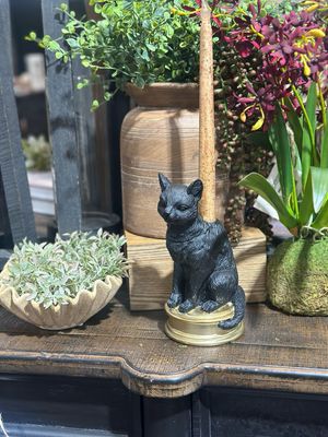 Black Cats