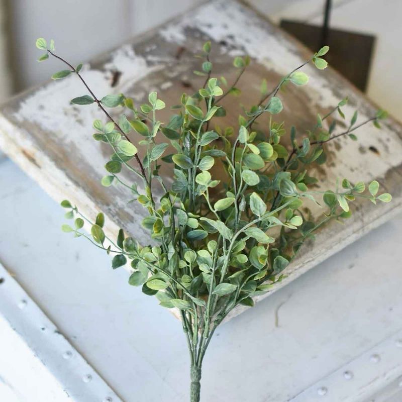 Lan 14" Seraph Vine Bush