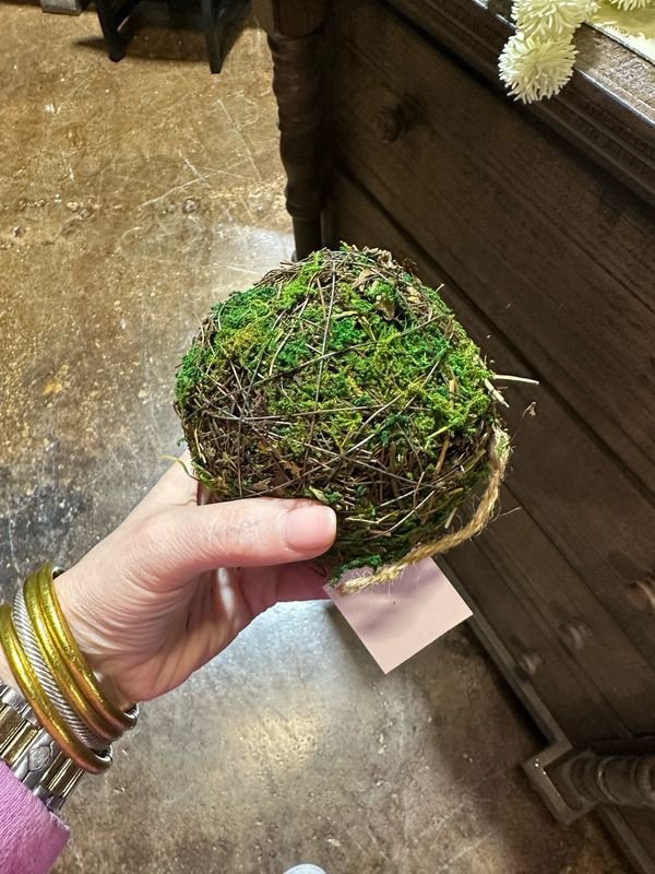 Imp Mossy Rattan 4"