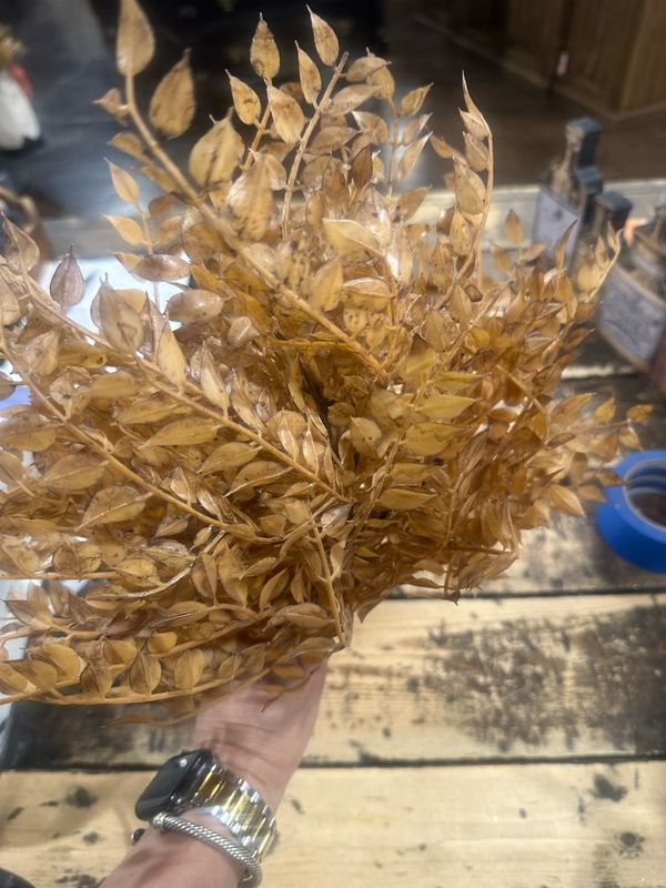 Lan 15" Bohicket Bush