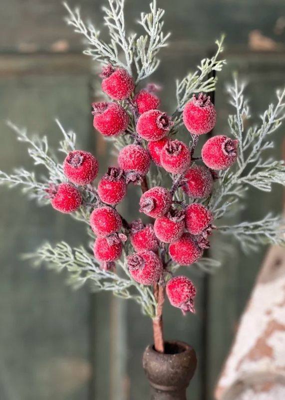 Lan 18" Icy Yule Berry Fir Pick