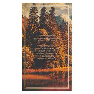 CAG 199 Fave Bible Verses Men
