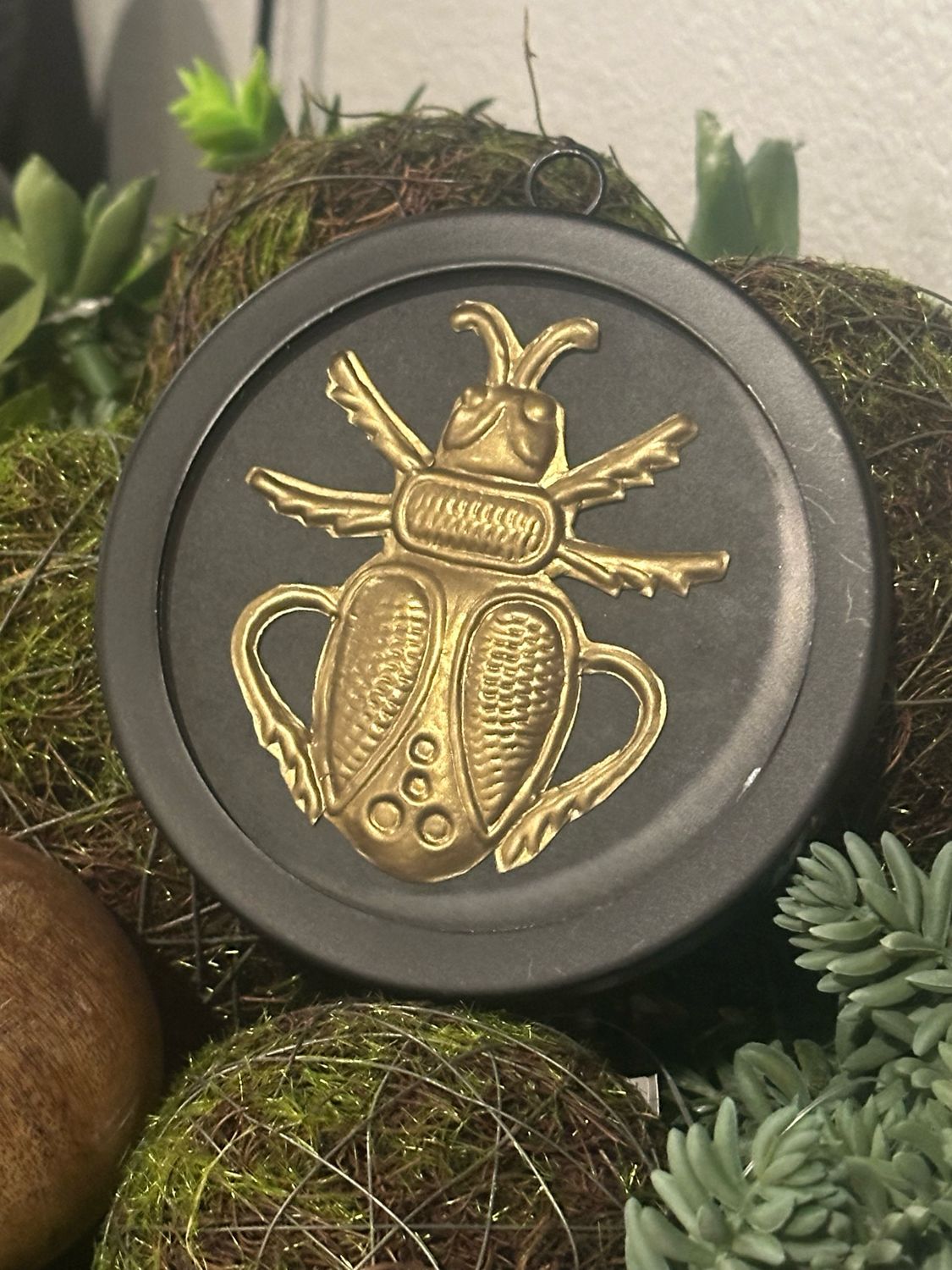 Aud Beetle 5" Rnd Blk Framed Brass Bug