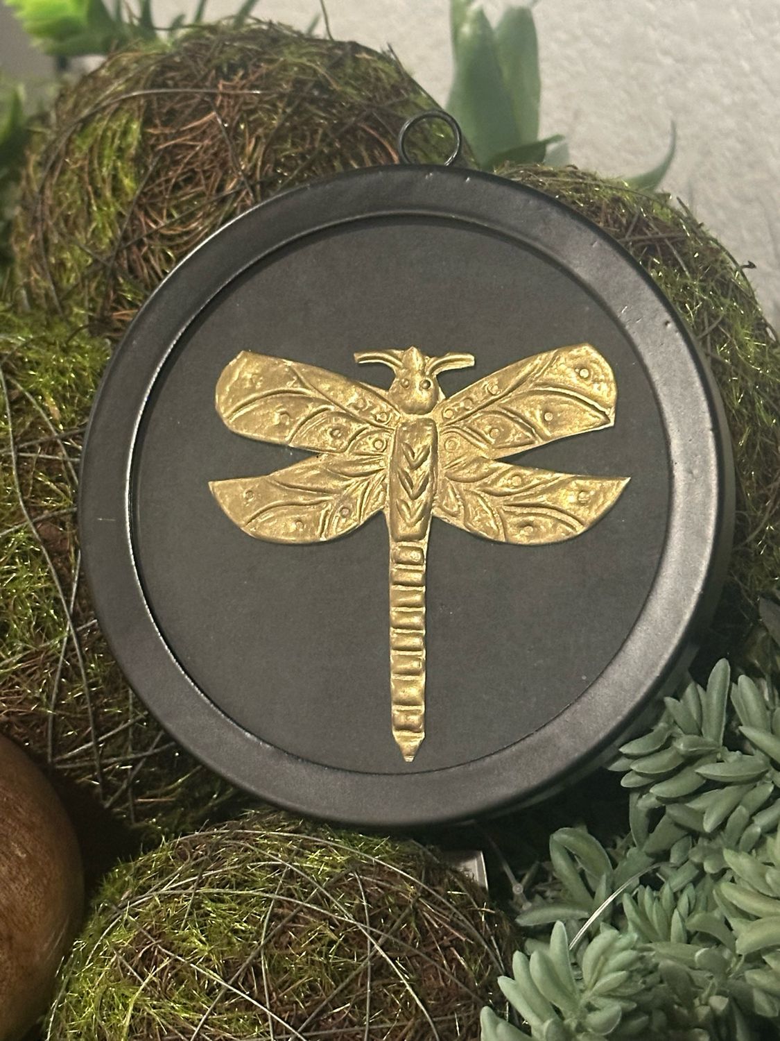 Aud Dragonfly 5" Rnd Blk Framed Brass Bug