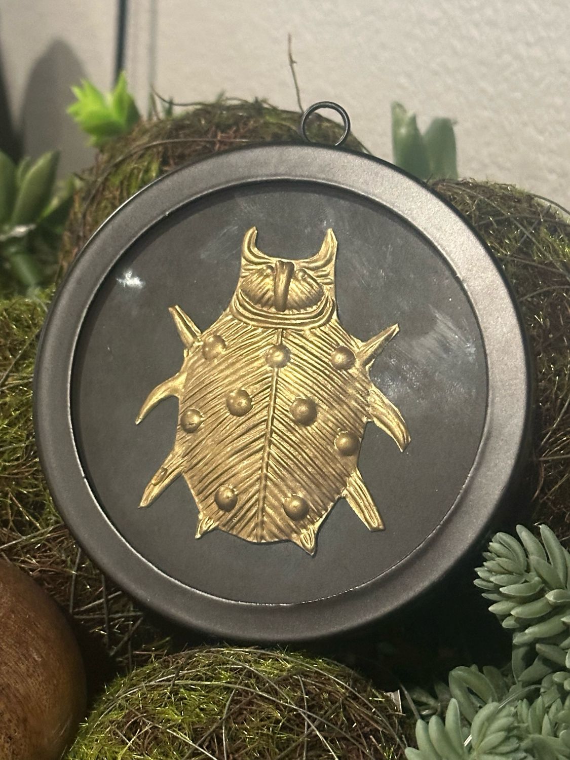 Aud Ladybug 5" Rnd Blk Framed Brass Bug