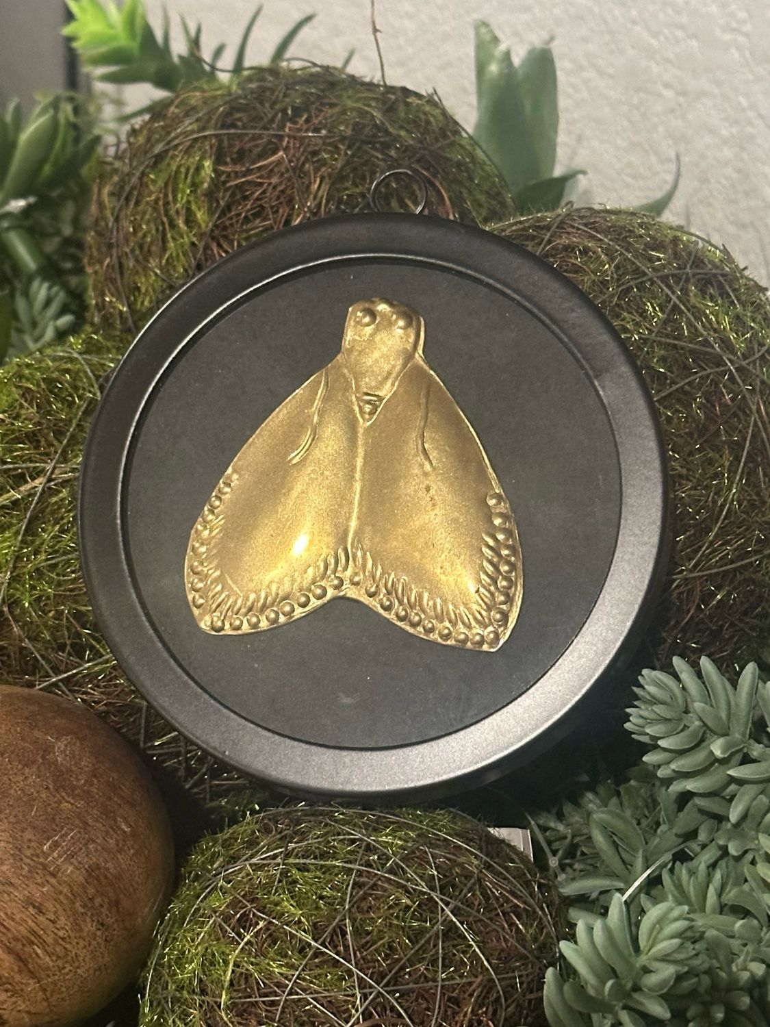 Aud Moth 5" Rnd Blk Framed Brass Bug
