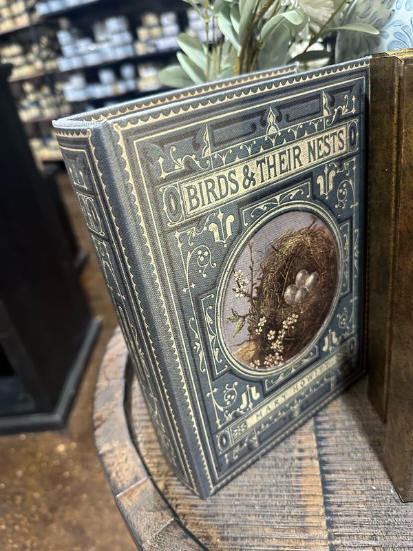 Aud Lg Bird Nest Book Box 9.25x6.75x2.5