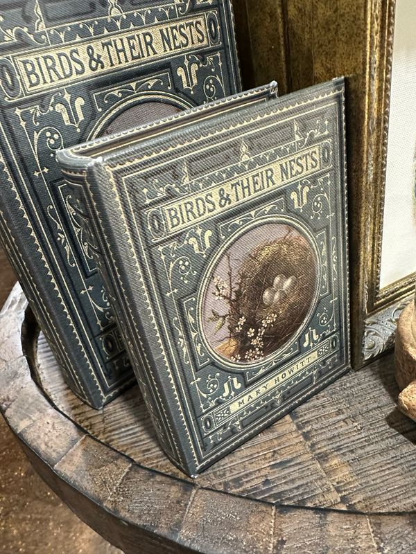 Aud Sm Bird Nest Book Box 6.5x4.5x2