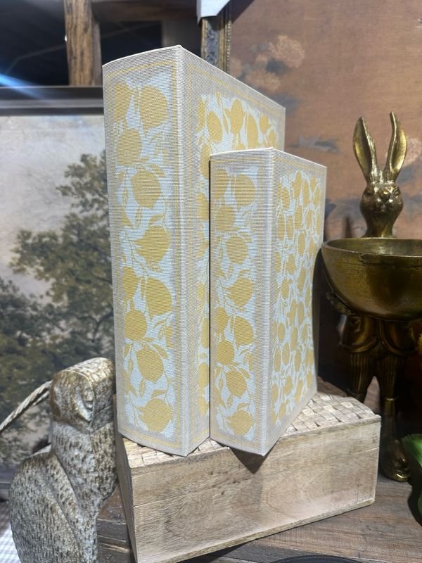 AB Lg Lemon Book Box 10.75x7x2.75