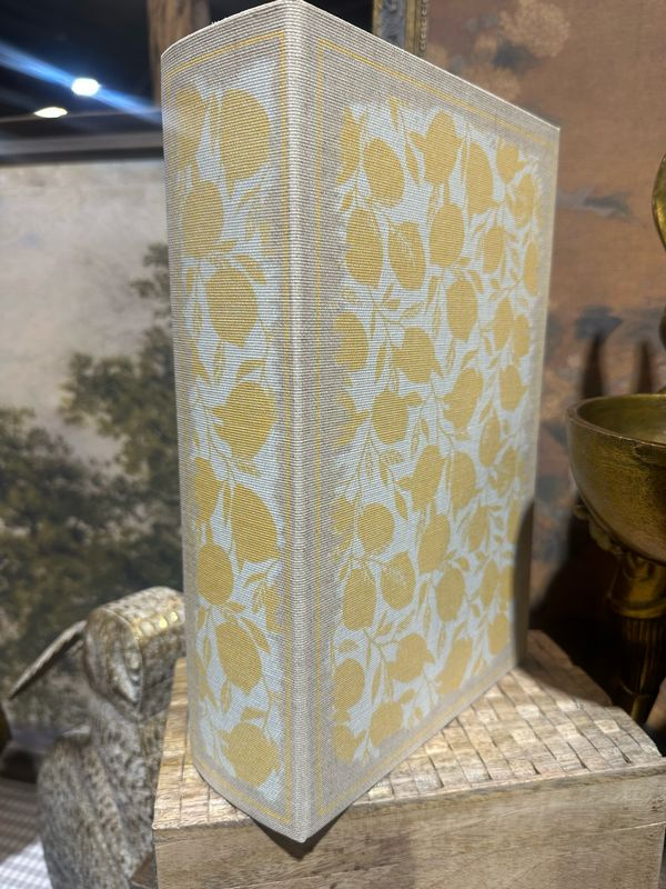 AB Lg Lemon Book Box 10.75x7x2.75