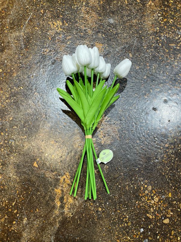 Reg White 13" Eva Dutch Tulip Bundle x9