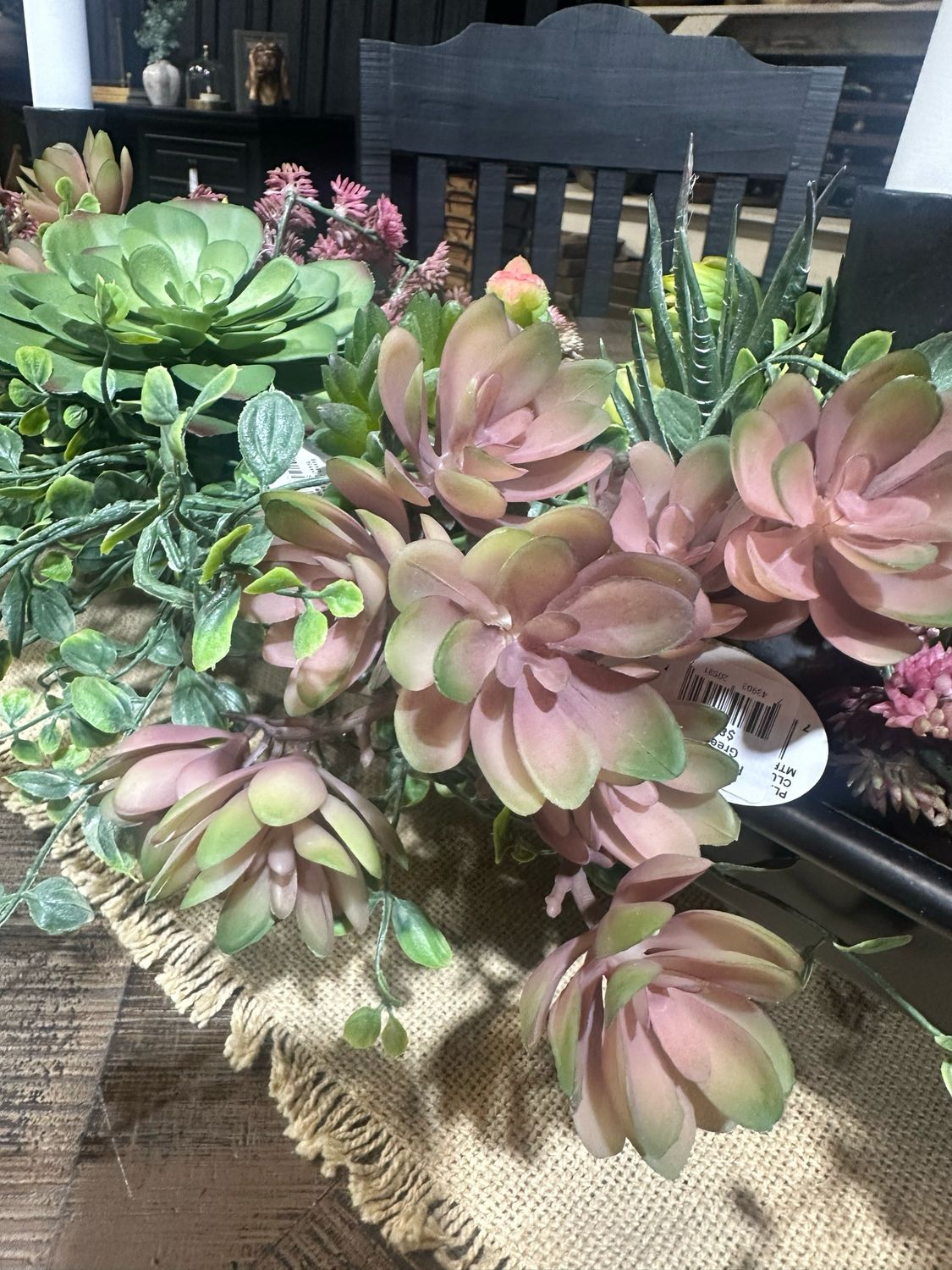 Reg 5" Pink Green PL Creeping Succ Cluster