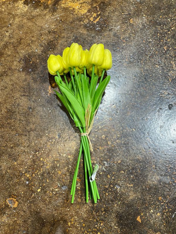 Reg Yellow 13" Eva Dutch Tulip Bundle x9